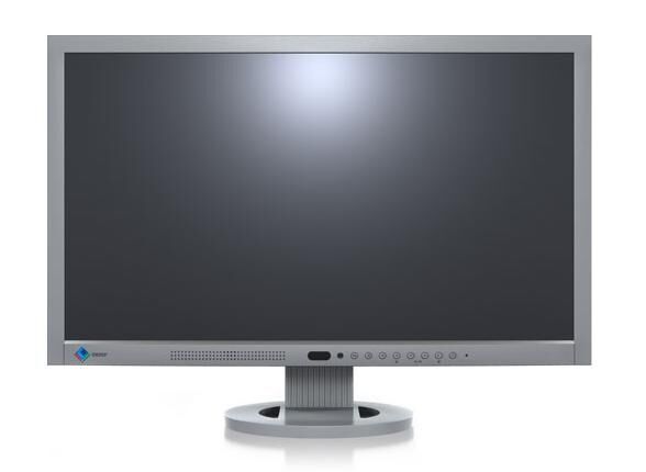Eizo Flexscan EV2333W | 23" | grau 1