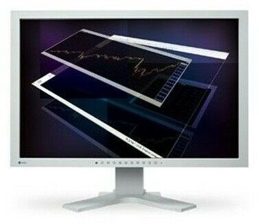 Eizo FlexScan S2433W | 24" | biały