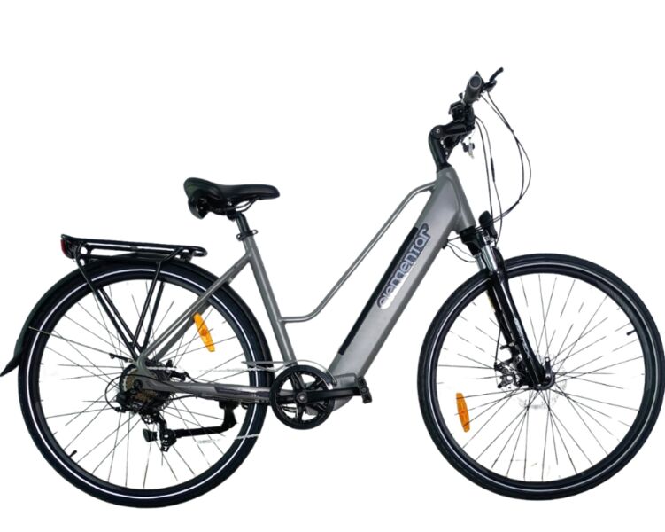 Eleven Elementar (2025) | Low Entry | grey | L | 56 cm | < 500 km, image 1 of 1