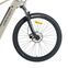 Eleven Kaus (2025) | Diamant | beige | 56 cm | L | < 100 km thumbnail 2/4