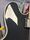 Epiphone B.B King Lucille Ebony 2008 Semi-Hollow Electric Guitar | ebony, thumbnail 5 of 5