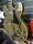 Epiphone Shinichi Ubukata ES-355 Custom Olive Drab 2023 Electric Guitar | Original, thumbnail 5 of 5