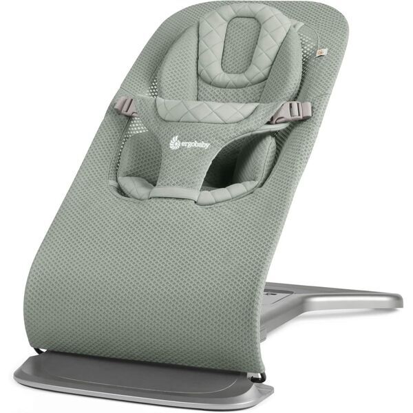 Ergobaby Evolve Bouncer |  1