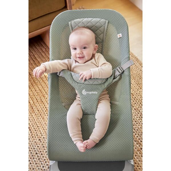 Ergobaby Evolve Bouncer |  3