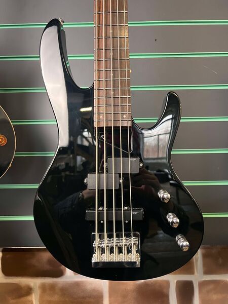 ESP LTD B-55 Black 2012 5-String Electric Bass | juoda, image 4 of 5