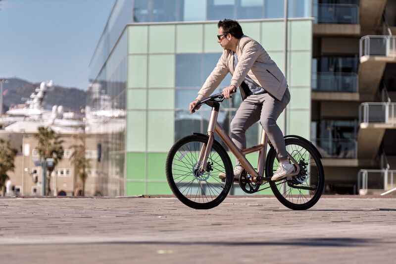 eXXite neXt Step (2022) | kupfer | 27.5" | 54 cm | < 100 km 2