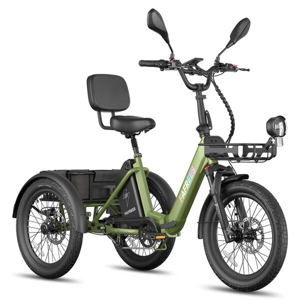 FAFREES F20 Mate II 21Ah-GN | vert | 20" | taille unique | < 500 km, image 1 of 5