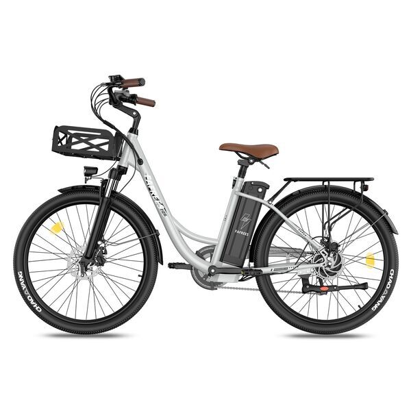 FAFREES F26 Lasting 2026 | grau | 26" | M | < 500 km, image 1 of 5