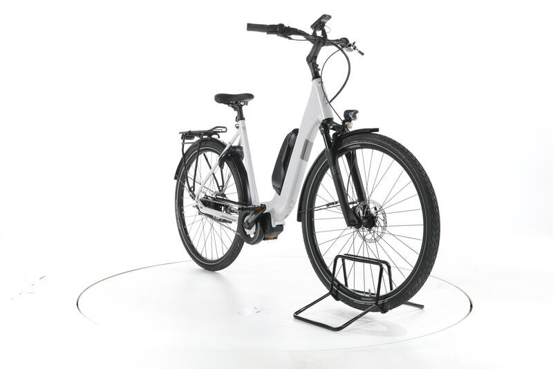 FALTER E 8.2 RT 2021 | white | 28" | 500 - 3000 km 2