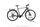 FALTER a 9.0 2023 | černá | 28" | 55 cm | < 500 km, thumbnail 1 of 5