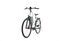 Falter E 9.0 FL (2020) | Low Entry | white | 46 cm | 500 - 1000 km thumbnail 2/4