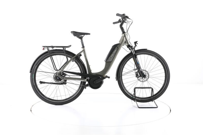 Falter E 9.0 FL (2021) | Tiefeinsteiger | grau | 28" | 50 cm | 3000 - 4000 km 1