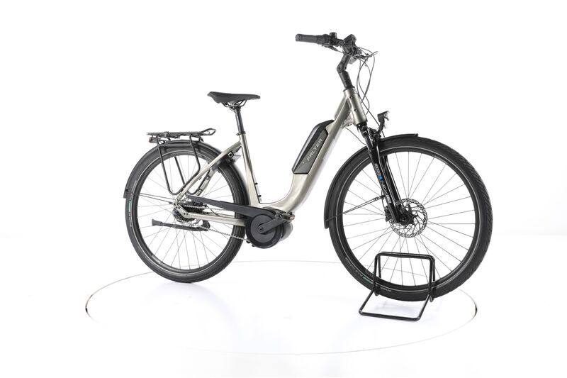 Falter E 9.0 FL (2021) | Tiefeinsteiger | grau | 28" | 50 cm | 3000 - 4000 km 2