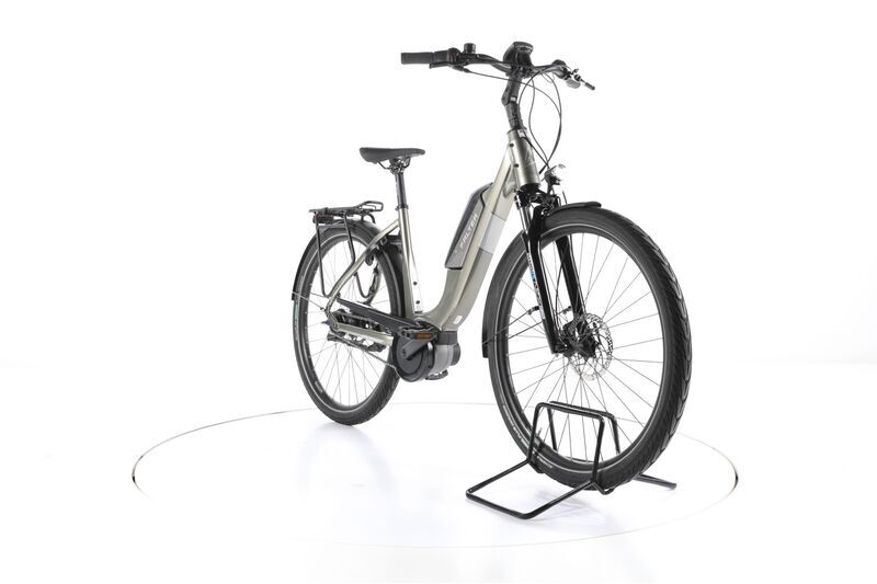 Falter E 9.0 FL (2021) | Tiefeinsteiger | grau | 28" | 50 cm | 3000 - 4000 km 3