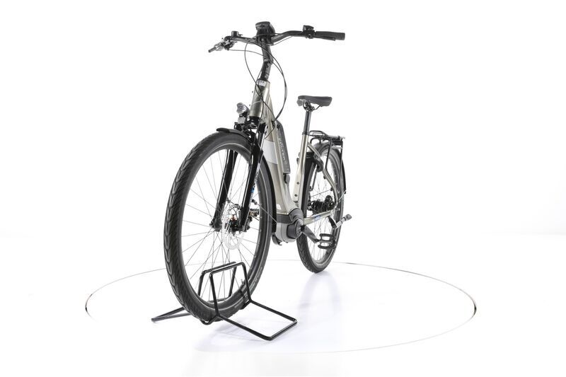 Falter E 9.0 FL (2021) | Tiefeinsteiger | grau | 28" | 50 cm | 3000 - 4000 km 5