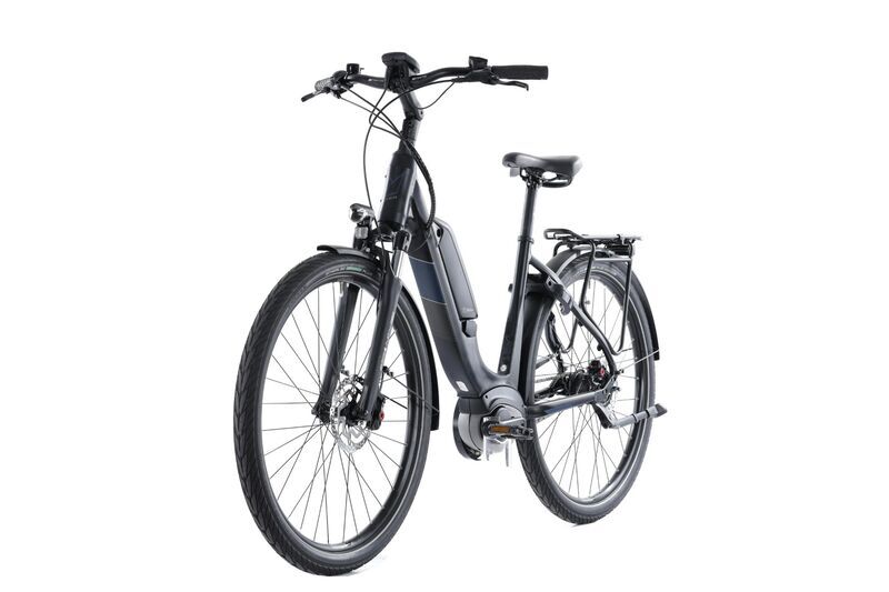 Falter E 9.0 RT WA (2022) | Tiefeinsteiger | schwarz | 28" | 50 cm | 100 - 500 km 5