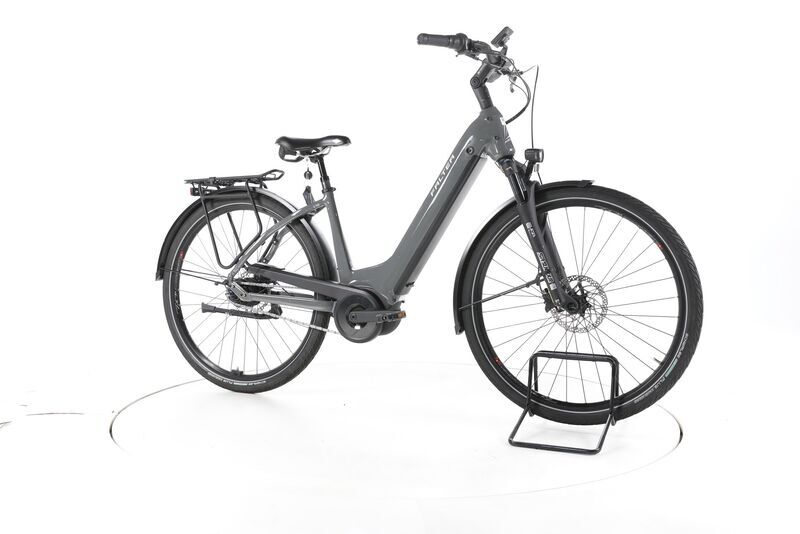 FALTER E 9.0i RT 2024 | grey | 28" | 45 cm | 500 - 3000 km, image 1 of 4
