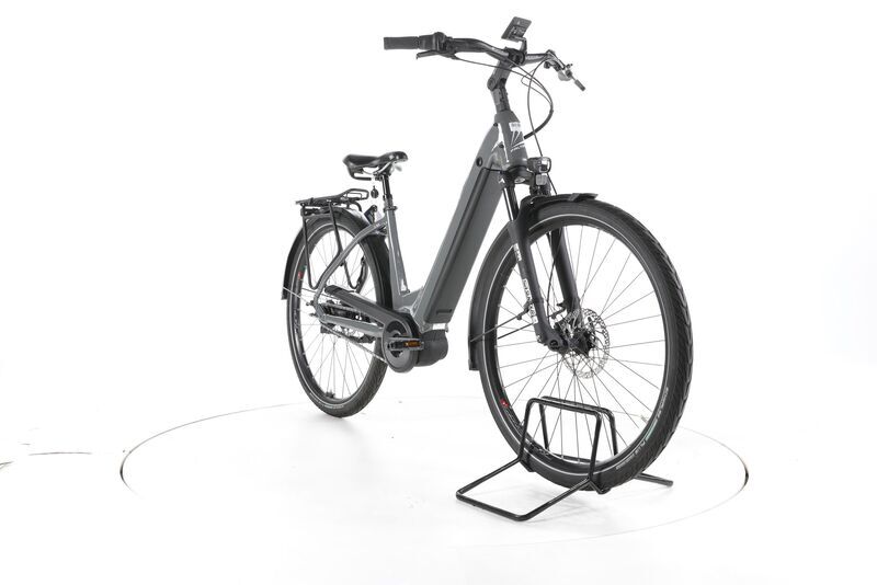 FALTER E 9.0i RT 2024 | grey | 28" | 45 cm | 500 - 3000 km, image 2 of 4