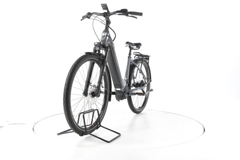 FALTER E 9.0i RT 2024 | grey | 28" | 45 cm | 500 - 3000 km, image 4 of 4