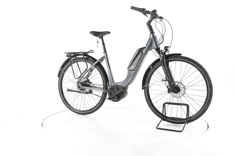 FALTER E 9.3 FL 2022 | grey | 28" | 50 cm | 500 - 3000 km, image 1 of 4