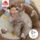 Fehn 3D Activity lizdas Otter Theo | smėlio spalvos, thumbnail 2 of 2
