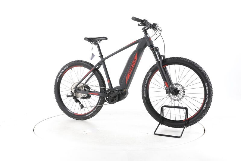 Feldmeier 27M ECO 2022 | cinzento | 27,5" | 47 cm | 500 - 3000 km, image 2 of 5