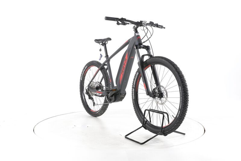 Feldmeier 27M ECO 2022 | cinzento | 27,5" | 47 cm | 500 - 3000 km, image 3 of 5