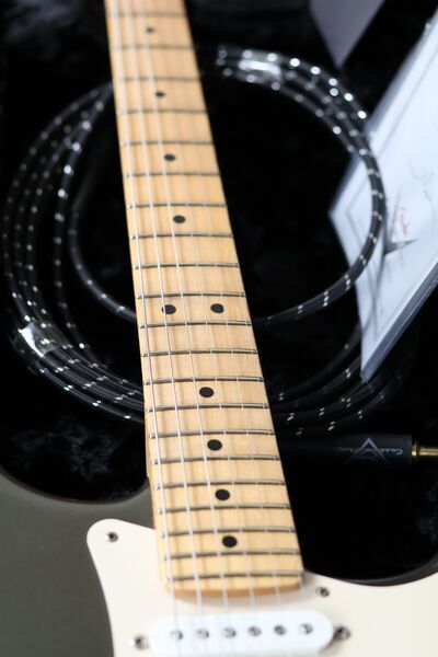 Fender Custom Shop Strat Eric Clapton Signature 2009 | Grey | grey, image 3 of 5