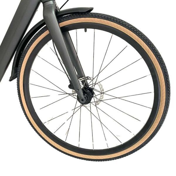 Fiido C21 (2025) | Diamond | grey | L | 56 cm | < 500 km 2