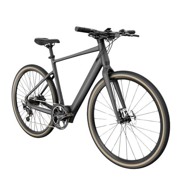 Fiido C21 (2025) | Diamond | grey | L | 56 cm | < 500 km 3