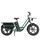 Fiido T2 (2024) | Low Entry | green | L | 56 cm | < 500 km thumbnail 1/3