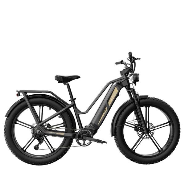 Fiido Titan (2024) | Диамант | pelēks | L | 42 cm | < 500 km 1