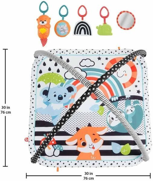 Fisher-Price 3-in-1 Musik Glow und Grow Fitnessstudio | mehrfarbig 2