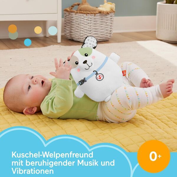 Fisher-Price Schlummer Hündchen Spieluhr | Version Englisch | večbarven 2