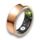 Fitorb Smart prsten Pro Neptun | růžové zlato | Velikost prstenu 10 | 20.0 mm, thumbnail 1 of 2