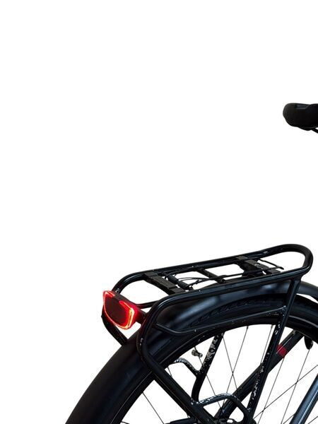 Flyer Gotour2 5.00 2022 | black | 28" | M | 500 - 3000 km 2