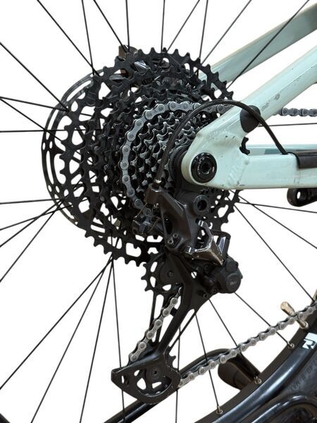 Focus Jam 6.9 2022 | green | 29" | S 4