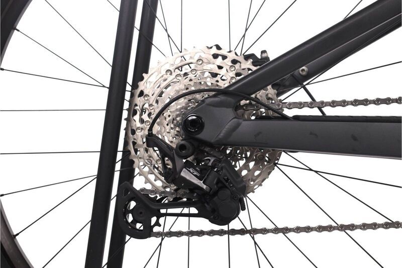 Focus Thron 6.8 (2023) | Diamond | grey | 29" | L 5