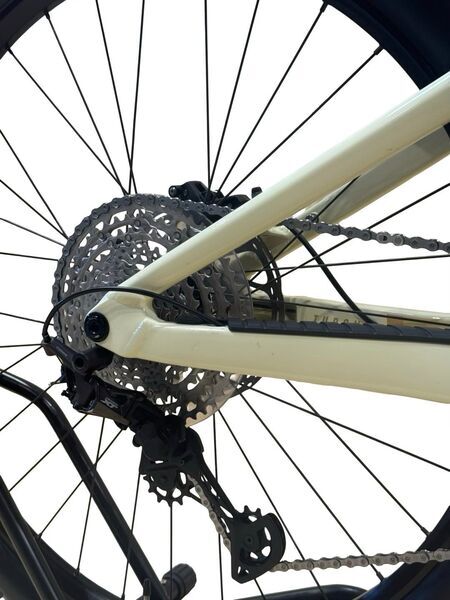 Focus Thron² 6.8 2023 | beige | 29" | L | < 500 km, image 3 of 4