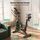 Formill DC002A 2026 | черно, thumbnail 4 of 5