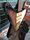Fret-King Esprit lll Green Label Series Transparent Black Electric Guitar | Green Black, thumbnail 3 of 5