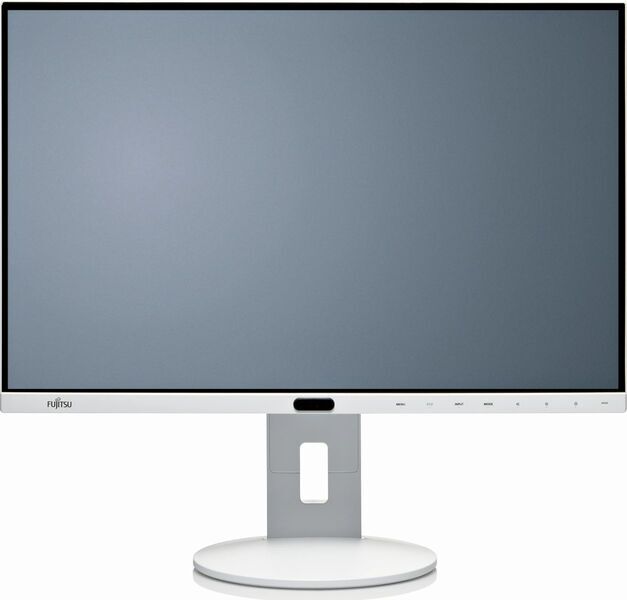 Fujitsu P-Line P24-8 WE Neo | 24.1" | med stativ | grå 1