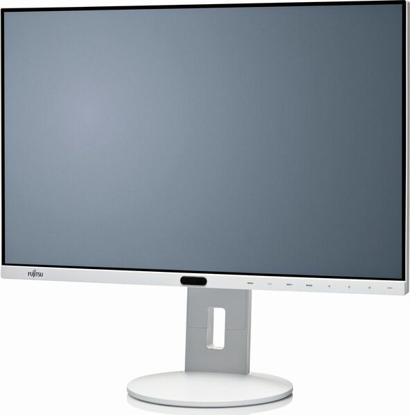 Fujitsu P-Line P24-8 WE Neo | 24.1" | med stativ | grå 3