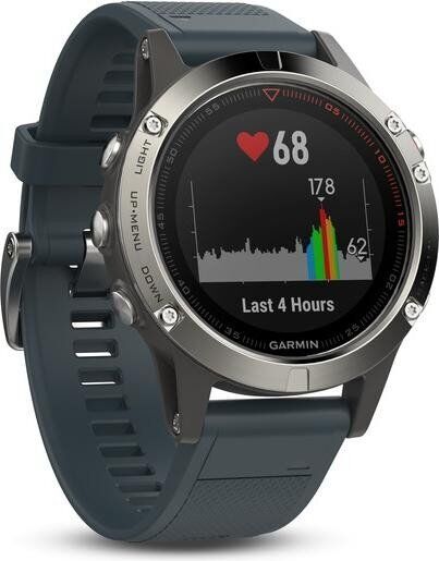 Garmin Fenix 5 (2017) | argent | bleu 2