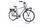 Gazelle Heavy Duty C7+ HMB 2020 | grau | 28" | 54 cm | 500 -3000 km, thumbnail 1 of 4