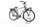Gazelle HeavyDutyNL C7+ HMB 2022 | grey | 28" | 54 cm | > 3000 km, thumbnail 1 of 4