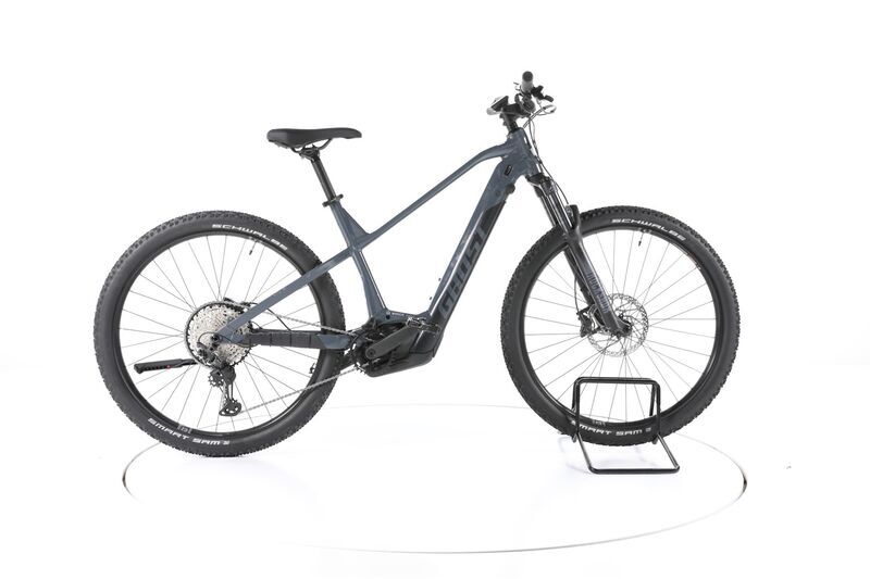 Ghost E-Teru B Pro (2023) | Diamant | grau | 29" | 47 cm | L | 100 - 500 km 1