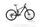 Ghost Riot Trail Alder Essential 2021 | czarny | 29" | L, thumbnail 1 of 5