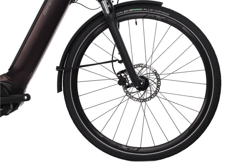 Giant Anytour E+ 3 LDS (2021) | Diamant | lila | XL | 100 - 500 km 5