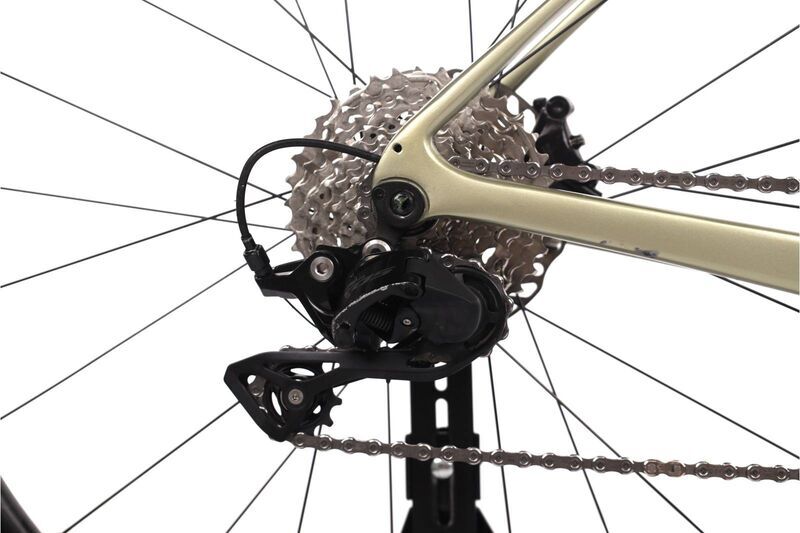 Giant Defy Advanced 2 (2024) | Diamant | grün | 27.5" | M | Shimano 105 5